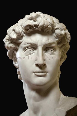-head-of-david-by-michelangelo